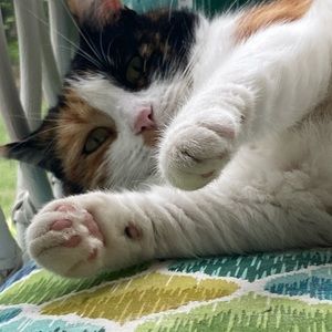 Meet your Posher, Mary